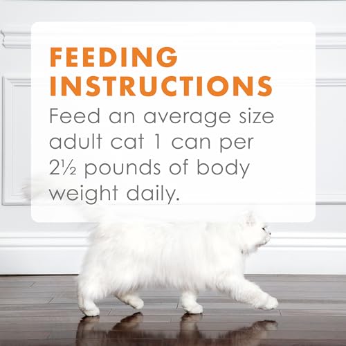 Wet Cat Food Variety Pack, Poultry & Beef Collection - 45 Cans, 3 oz. X307