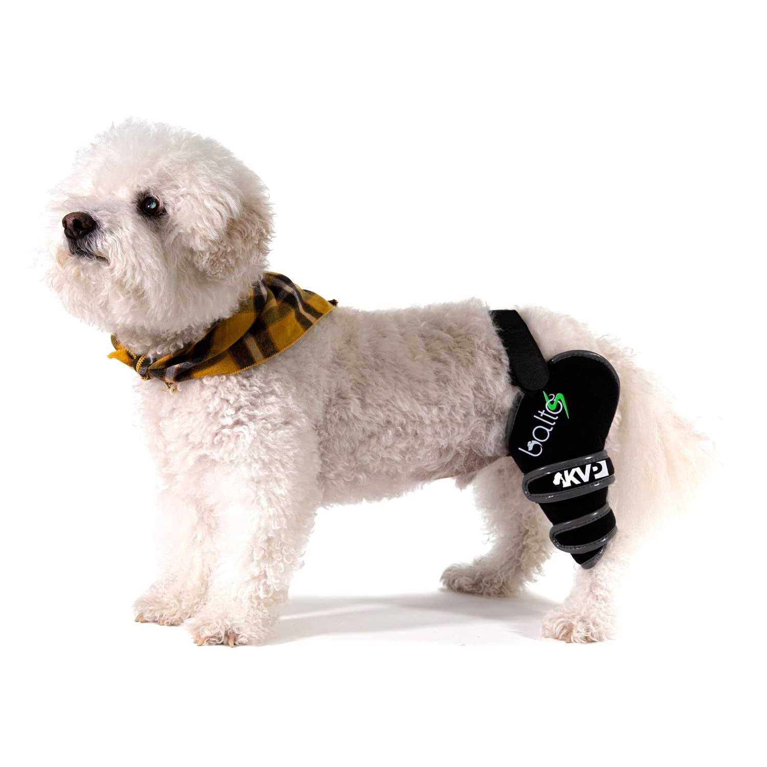 Balto Sport Agile CCL Brace Knee Support for Dogs Soft - Pet Supplies online store