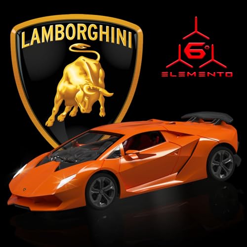 Remote Control Car, 1/24 Scale RC Sport Racing Toy Car for Boys Girls Brown E3956