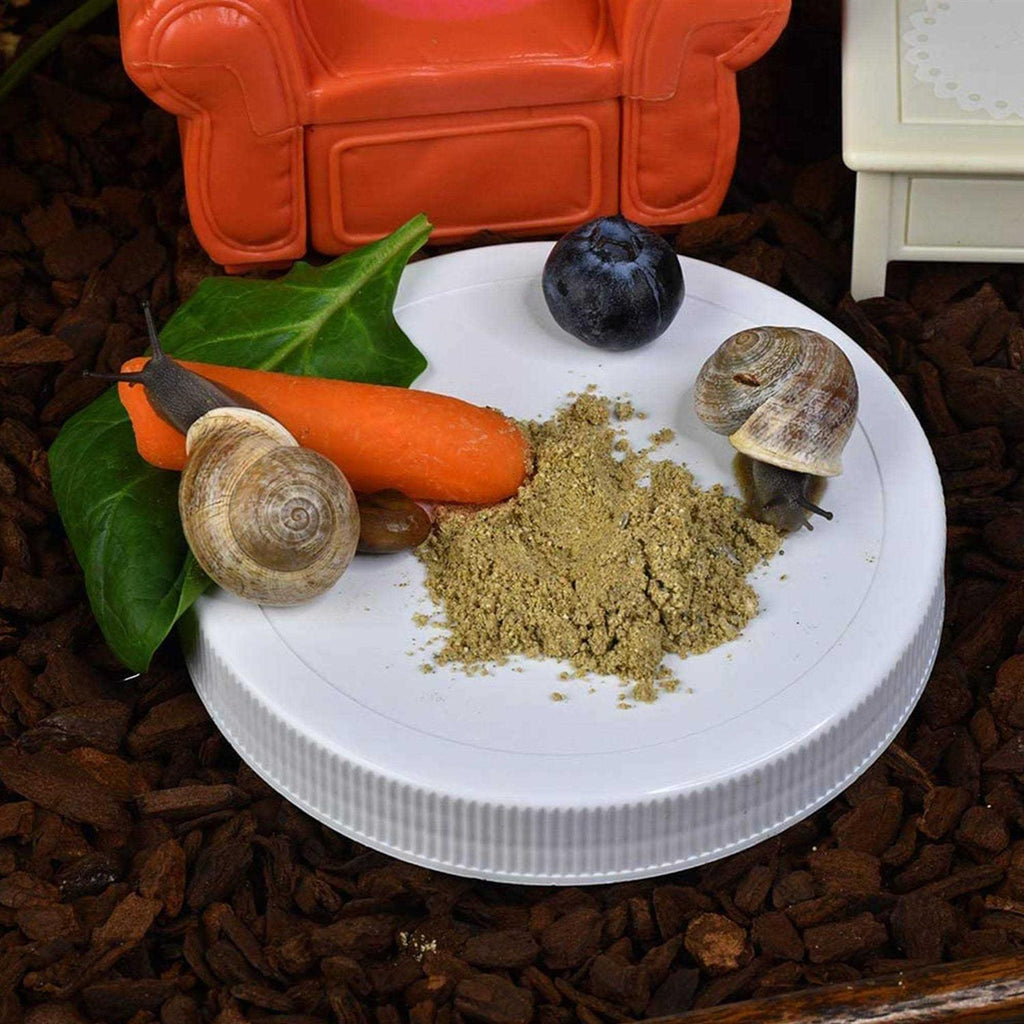 Vegetable Flavored Pet Land Snail Food High-Protein N401633