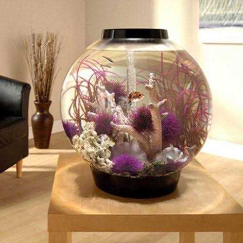Aquarium with LED F1852