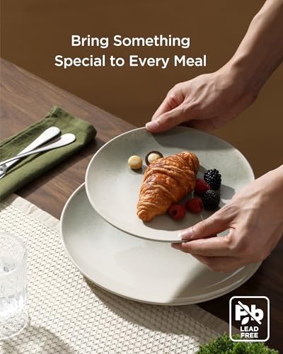 12-Piece Dinnerware Set for 4, Stoneware Plates and Bowls, Microwave and Dishwasher Safe C3998