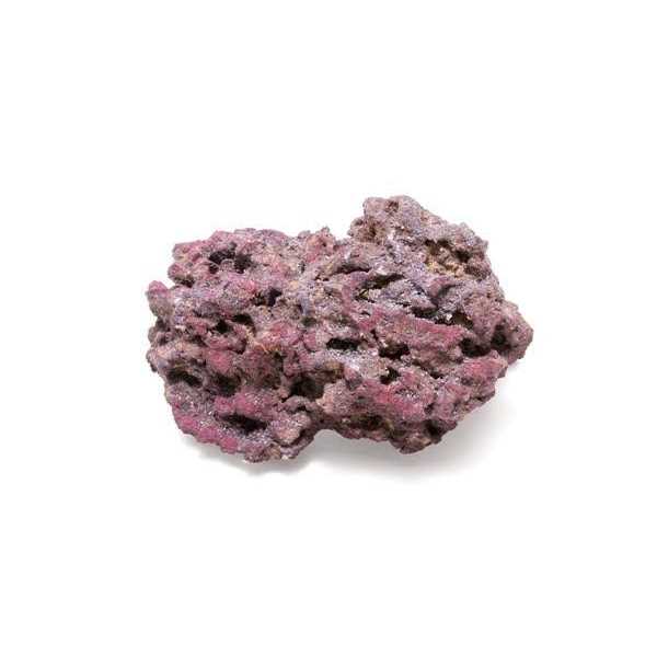 Life Rock for Pet Supplies X115