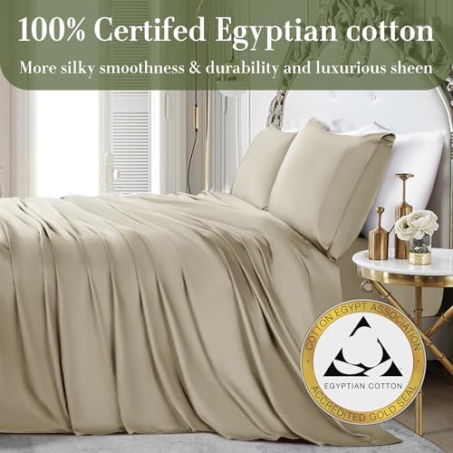Queen Size Cotton Sheets Set - 1000 Thread Count, Deep Pocket, 4 Piece, Dark Grey E7006