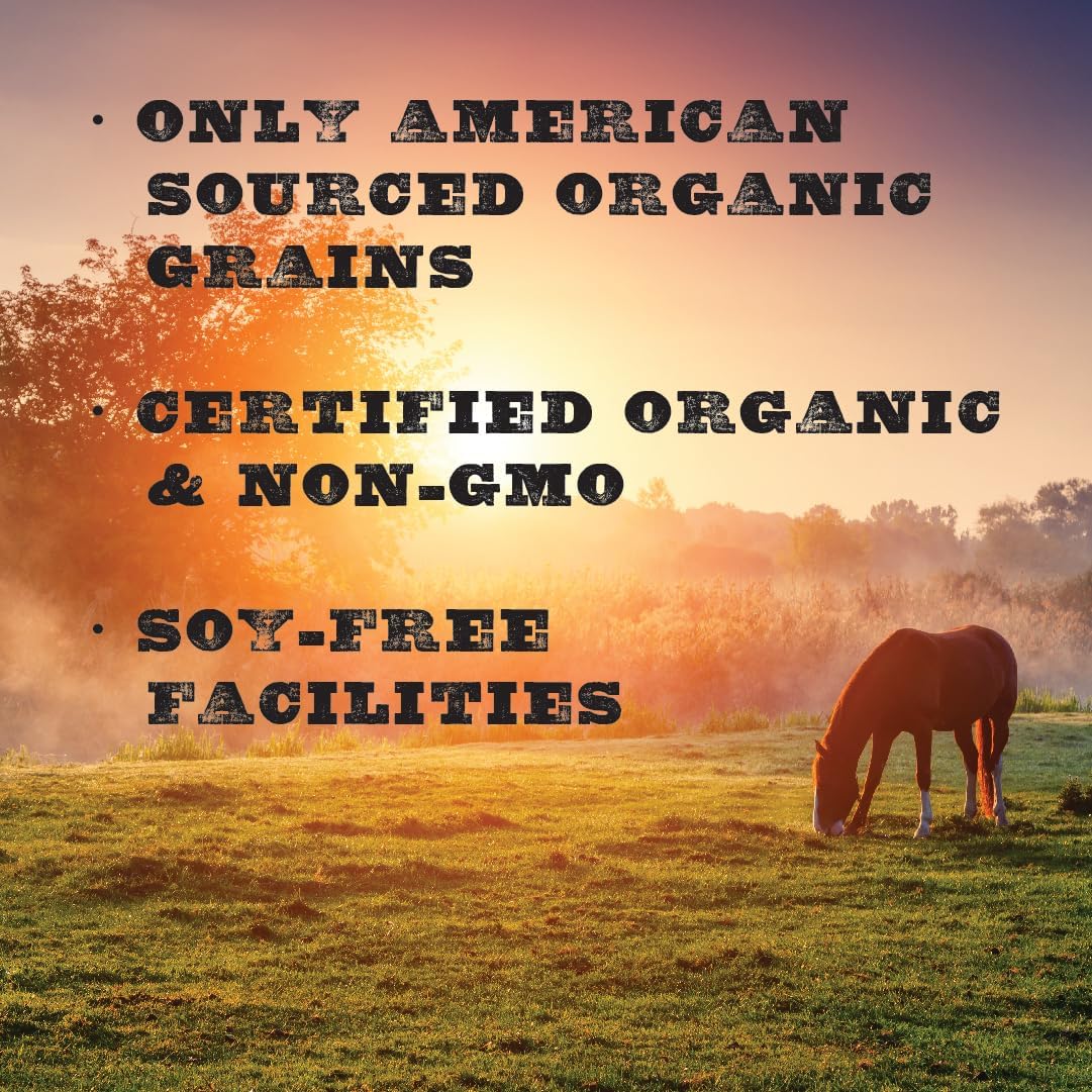 Low Starch Horse Feed for Metabolic Disorders, Corn-Free and Soy-Free, 16% Protein, 40 lbs N92031
