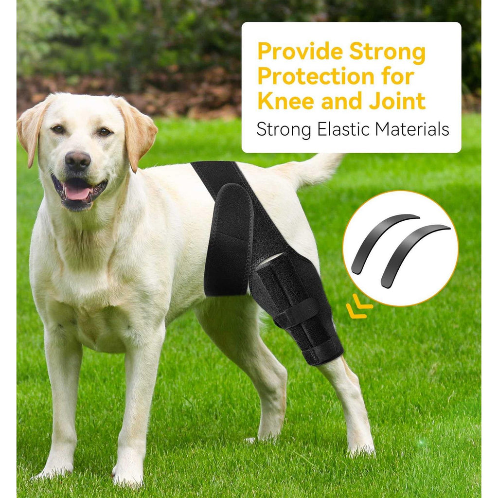 Dog Knee Brace for ACL Injury and Joint Support B3148