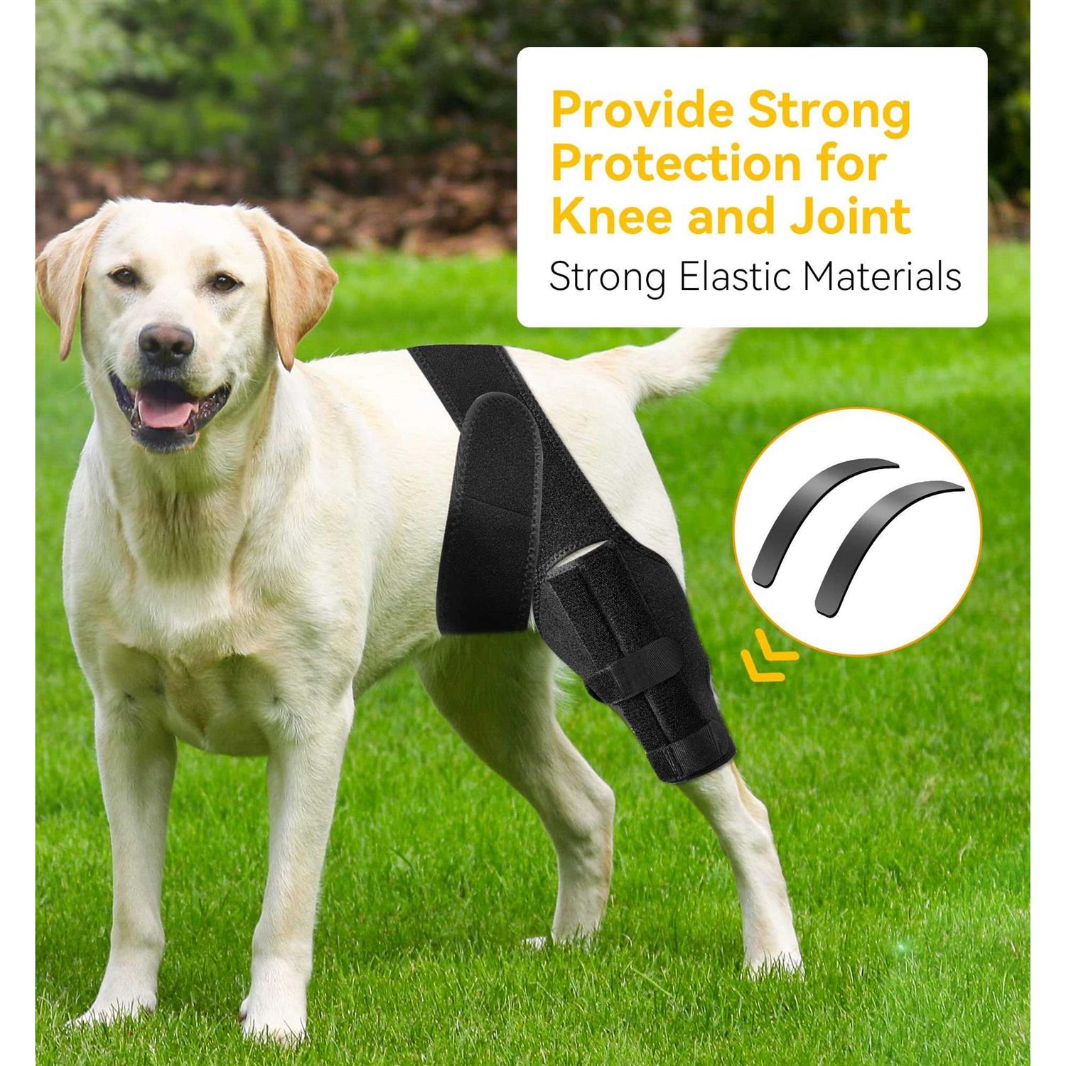 Dog Knee Brace for ACL Injury and Joint Support B3148