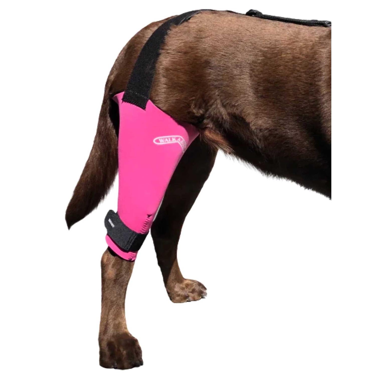 Dog & Cat Knee Brace X43960