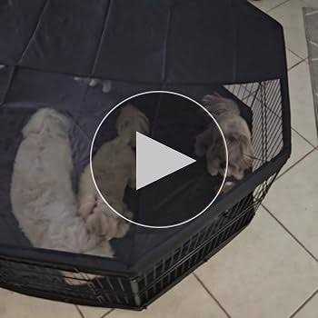 Dog Playpen, 8 Panels Foldable Metal Exercise Pen with Top Cover and Bottom Pad F73355