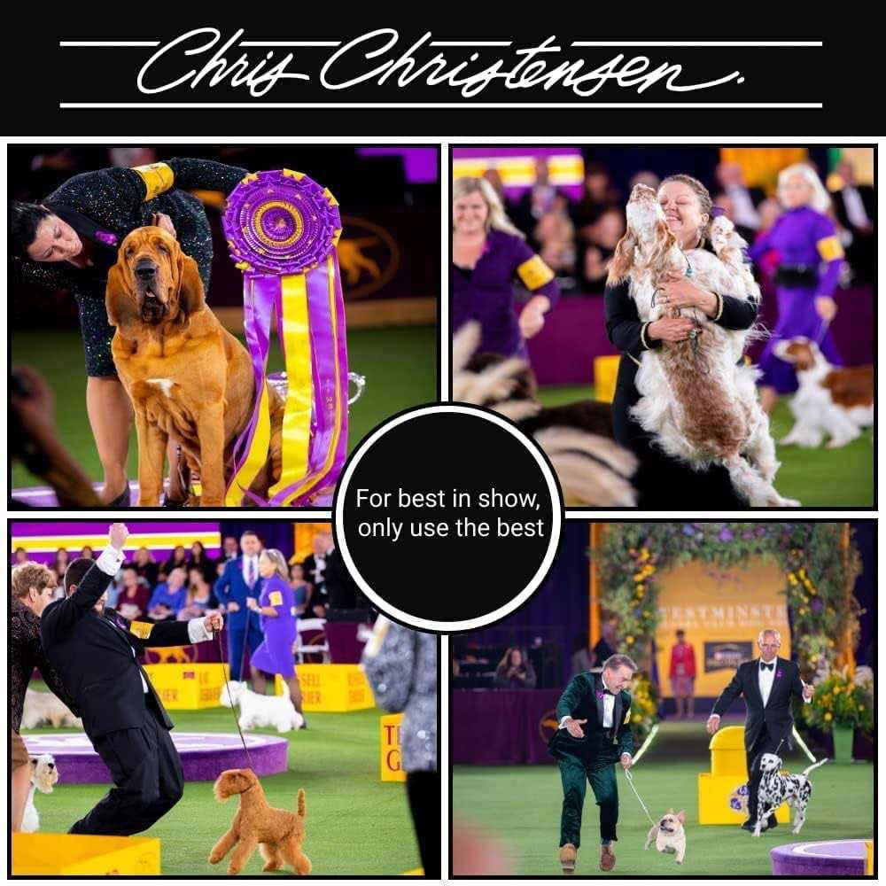 Clarifying Shampoo for Pets H128650