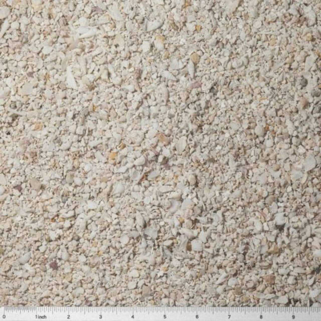 Special Grade Reef Sand for Aquariums C8617
