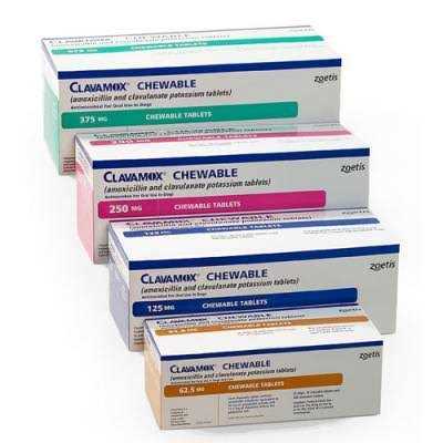 Clavamox Chewable for Pets X505293