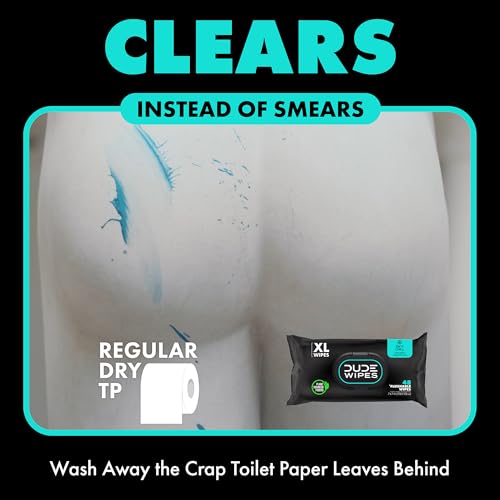 Flushable Wipes, 48 Count, Mint Chill Extra-Large, Eucalyptus & Tea Tree Oil, Septic Safe G343854