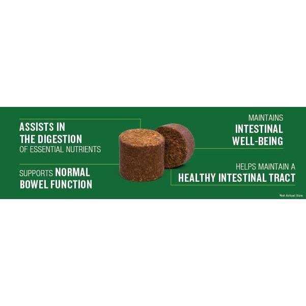 Probiotic Soft Chew Supplement for Dogs X740853