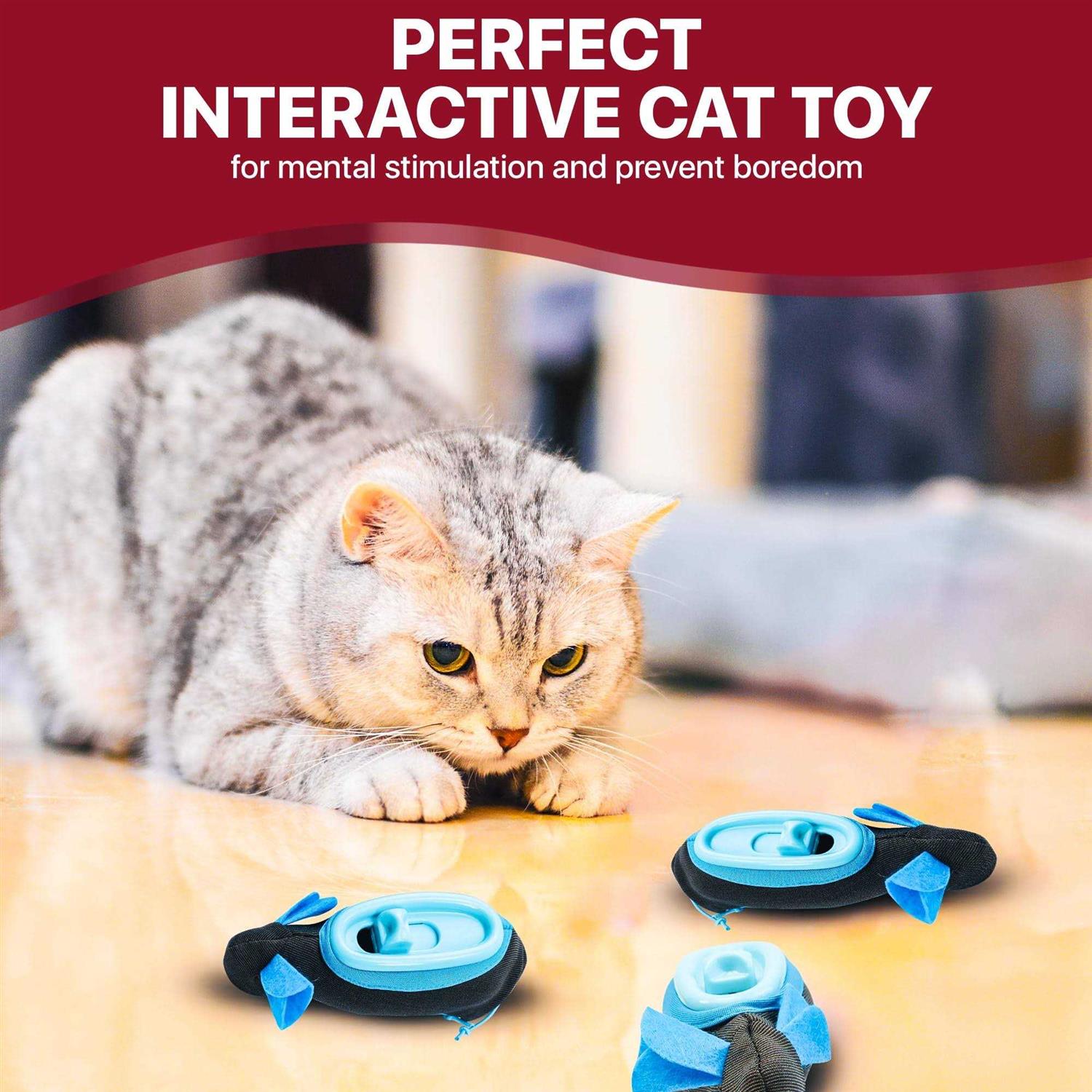 Indoor Hunting Cat Feeder C347435