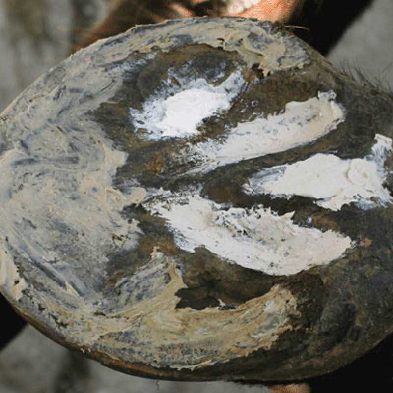 Hoof Clay 750g for Pets C190