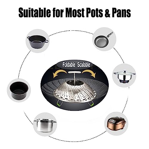 Expandable Steel Vegetable Steamer Basket for Pot Cooking N65373