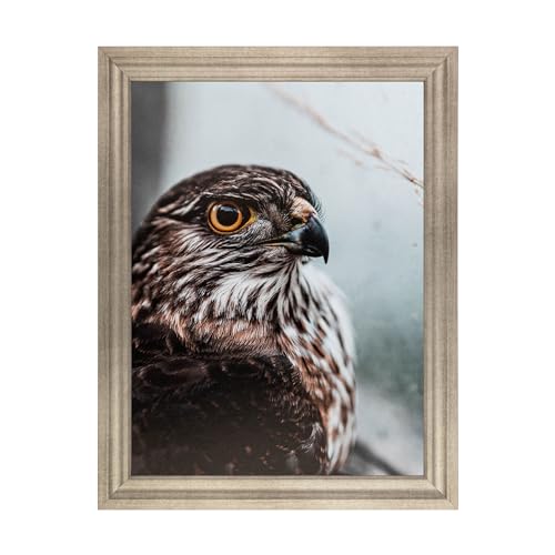 9x12 inch Muted Prosecco Gold Picture Frame O306
