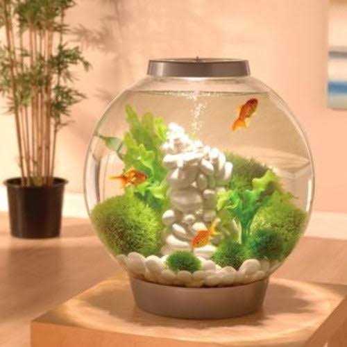 Aquarium with LED F1852