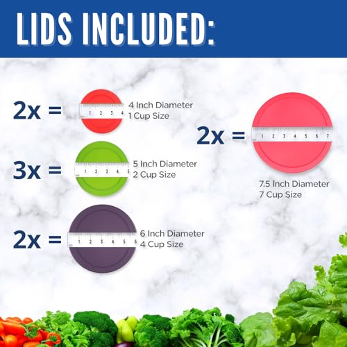 Replacement Lids for Glass Food Storage Containers V5436