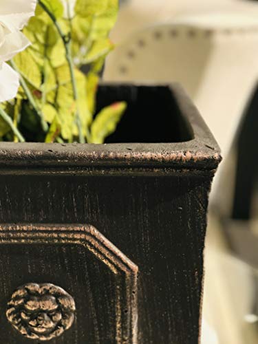 Square Lion Head Concrete Planter with Drainage Hole, 10.2" Antique Gray F955