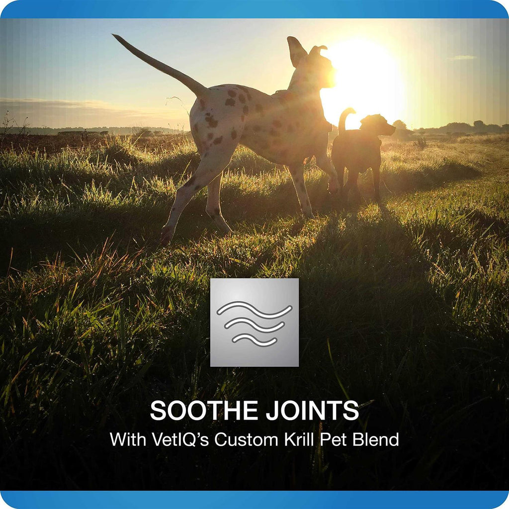 Hip and Joint Supplement for Dogs Chicken Flavored Soft Chews M876510