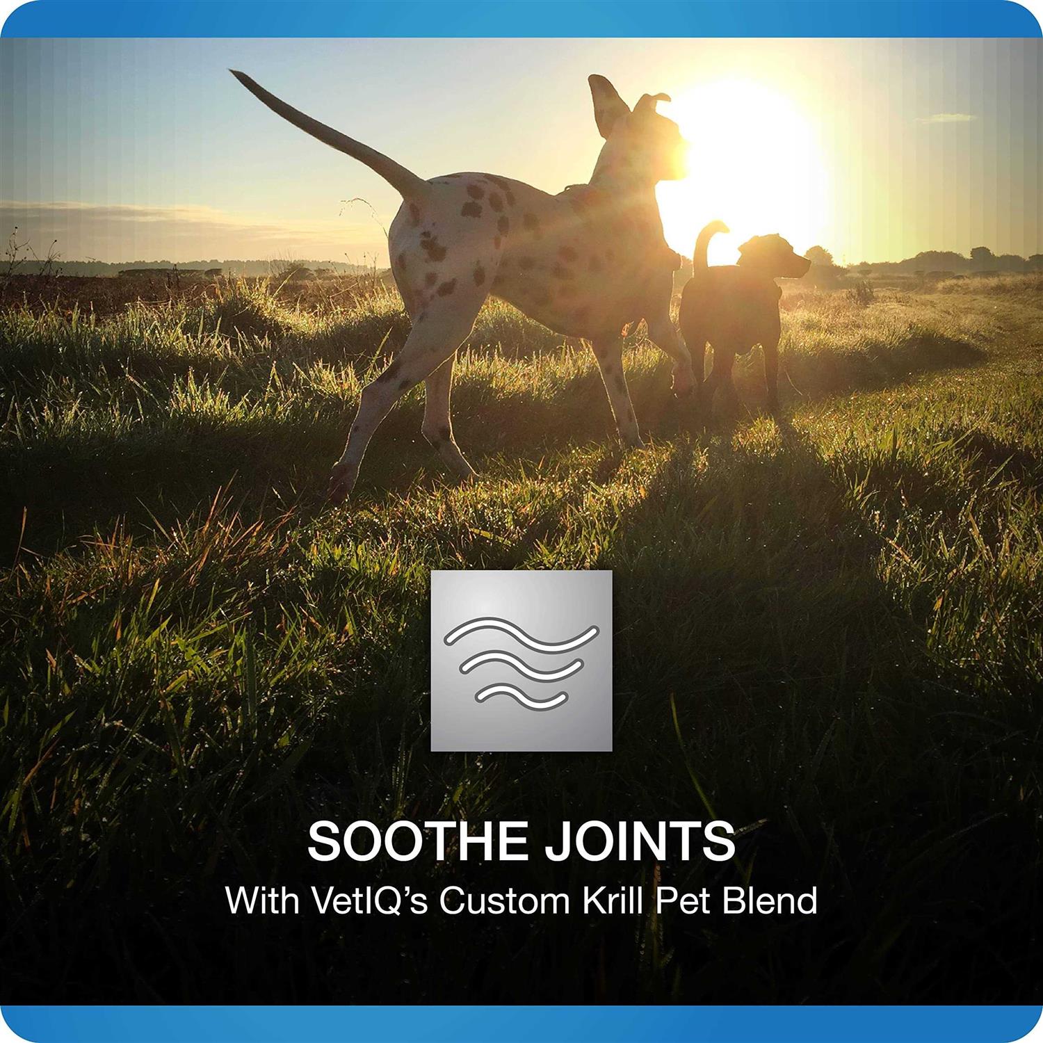 Hip and Joint Supplement for Dogs Chicken Flavored Soft Chews M876510