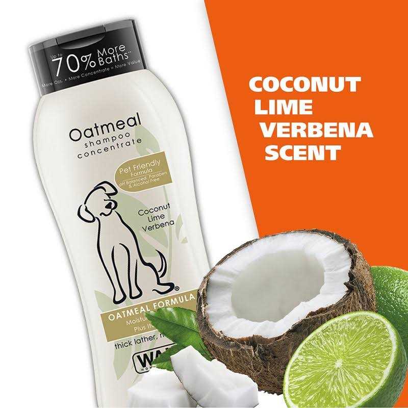 Oatmeal Coconut Lime Verbena Shampoo Concentrate R311057