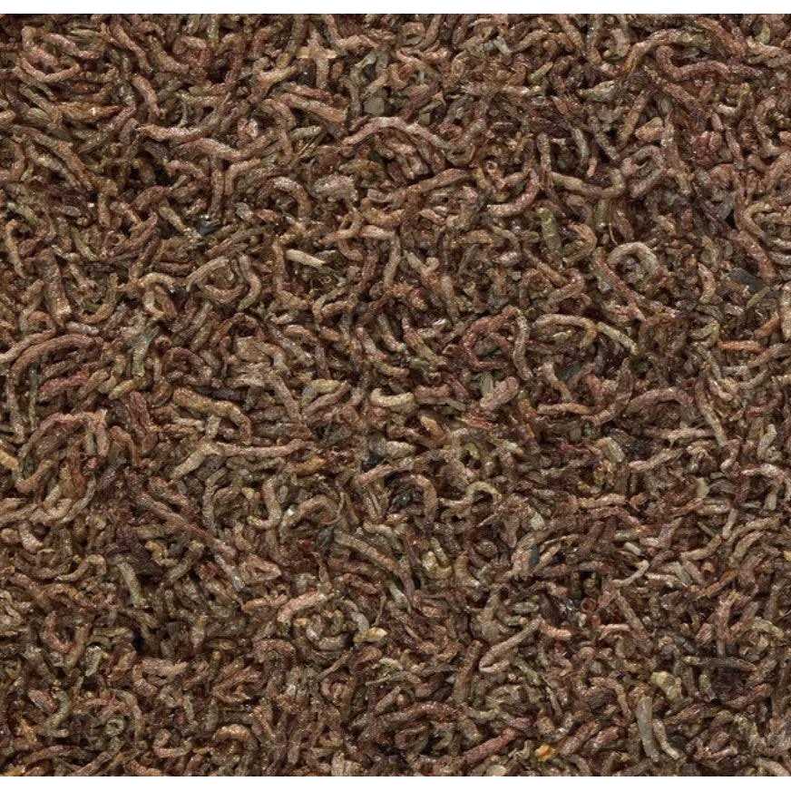 Freeze Dried Bloodworms Fish Food D10050