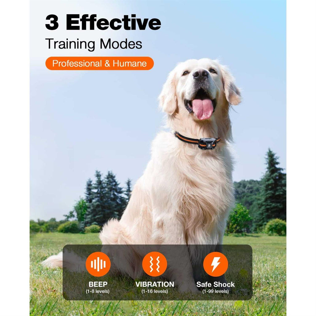 Dog Training Collar with Remote for Small Medium Large Dogs A122