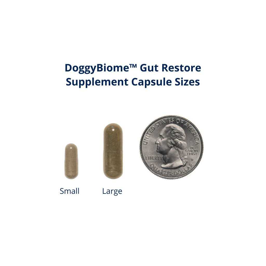 Gut Restore Supplement for Dogs, 30 Capsules A282438