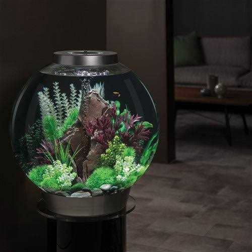 Aquarium with LED F1852