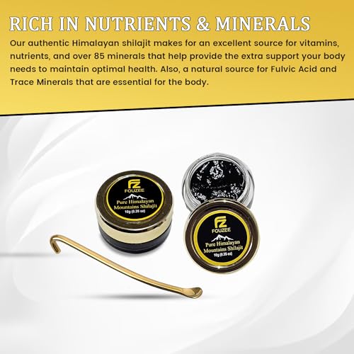 Pure Himalayan Shilajit Resin with Fulvic Acid, 10 Grams N8658
