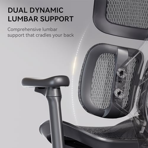 Ergonomic Office Chair with Lumbar Support and Adjustable Armrests L938155