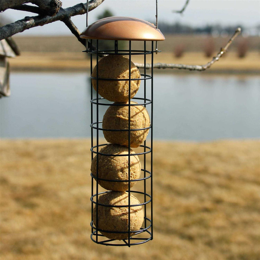 No-Melt Peanut Delight Suet Dough Balls for Birds S2657