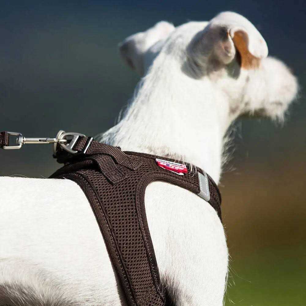 Air-Mesh Vest Dog Harness W207291