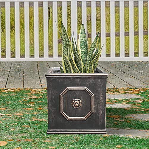 Square Lion Head Concrete Planter with Drainage Hole, 10.2" Antique Gray F955