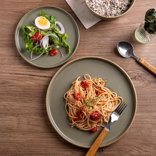 Stoneware Dinner Plates Set of 4, 10.25 Inch, Matte Glaze, Microwave and Dishwasher Safe C320815