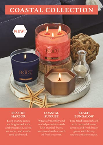 Citron & Bergamot Beeswax Blend Candle, 4 oz G354749
