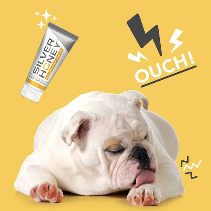 Hot Spot & Wound Care Ointment for Pets W66841