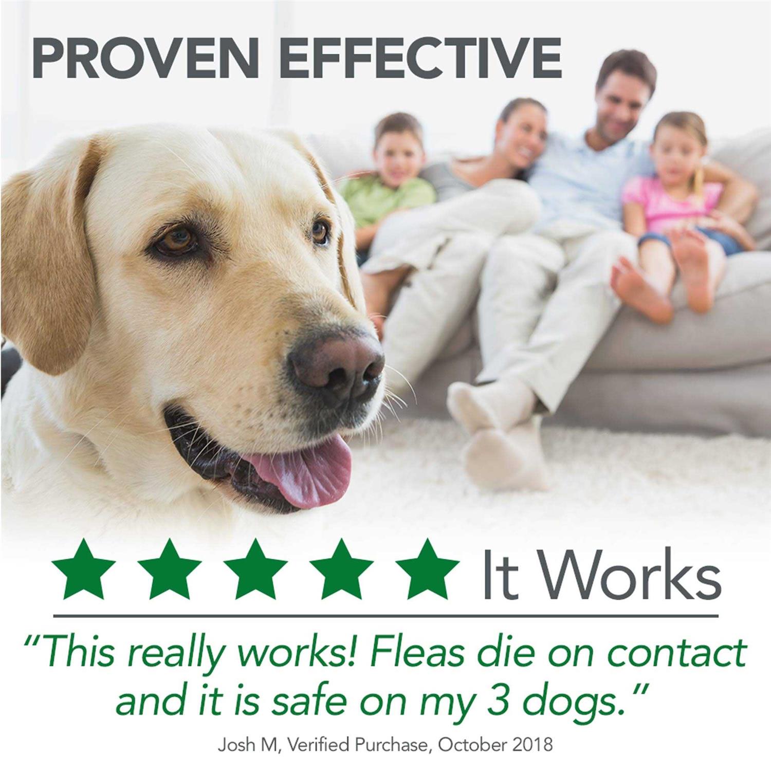 Flea and Tick Home Spray for Pets N4372