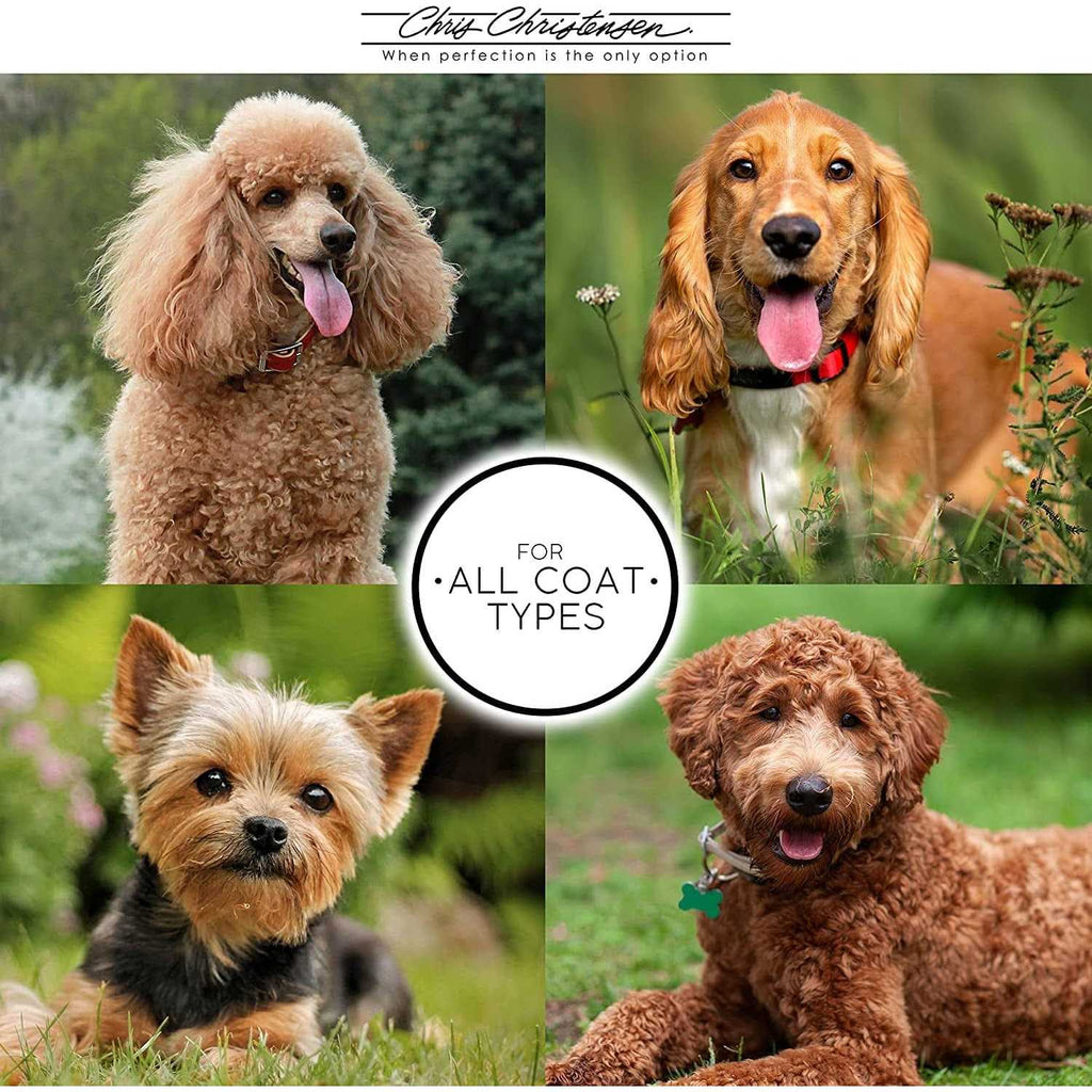 Clarifying Shampoo for Pets H128650