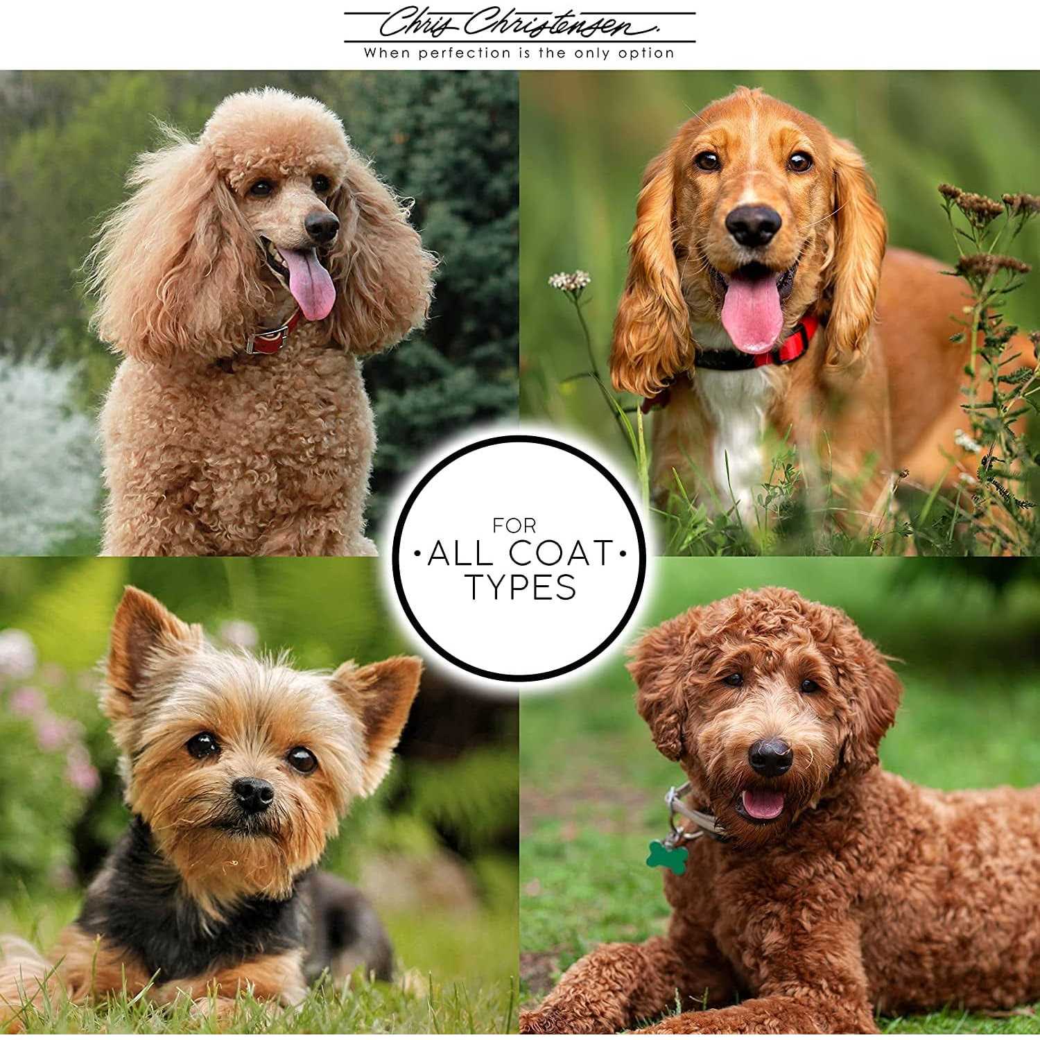 Clarifying Shampoo for Pets H128650