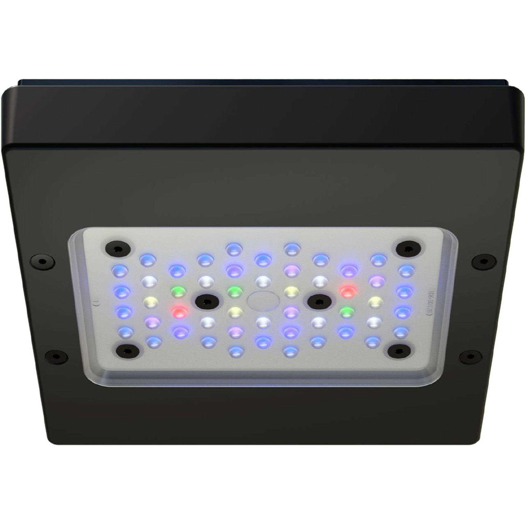 LED Light Fixture for Pet Supplies D3096