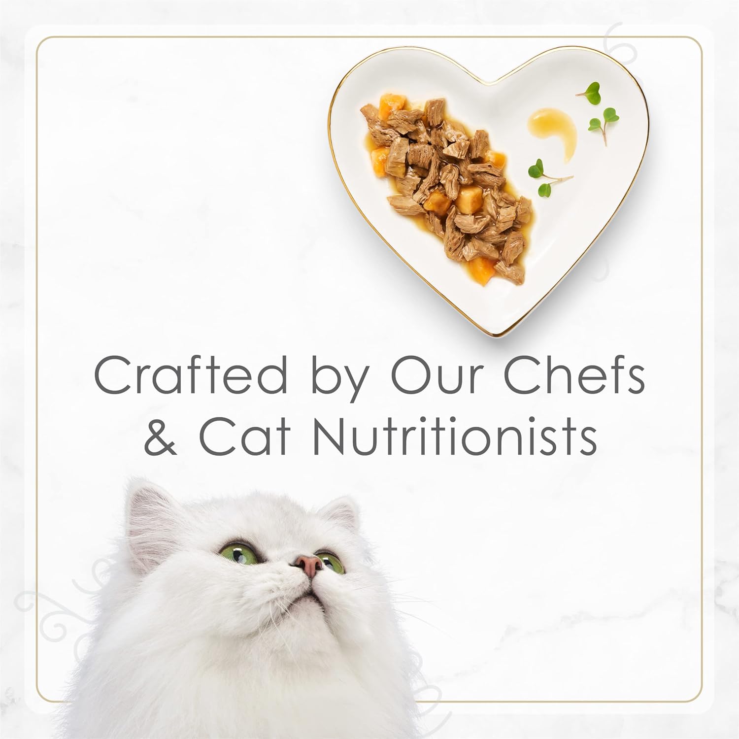 Wet Cat Food, Turkey & Sweet Potato Entree, 12-Pack W35042