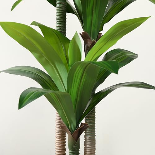 Artificial Dracaena Tree 5ft with White Planter, Indoor Floor Plant X899