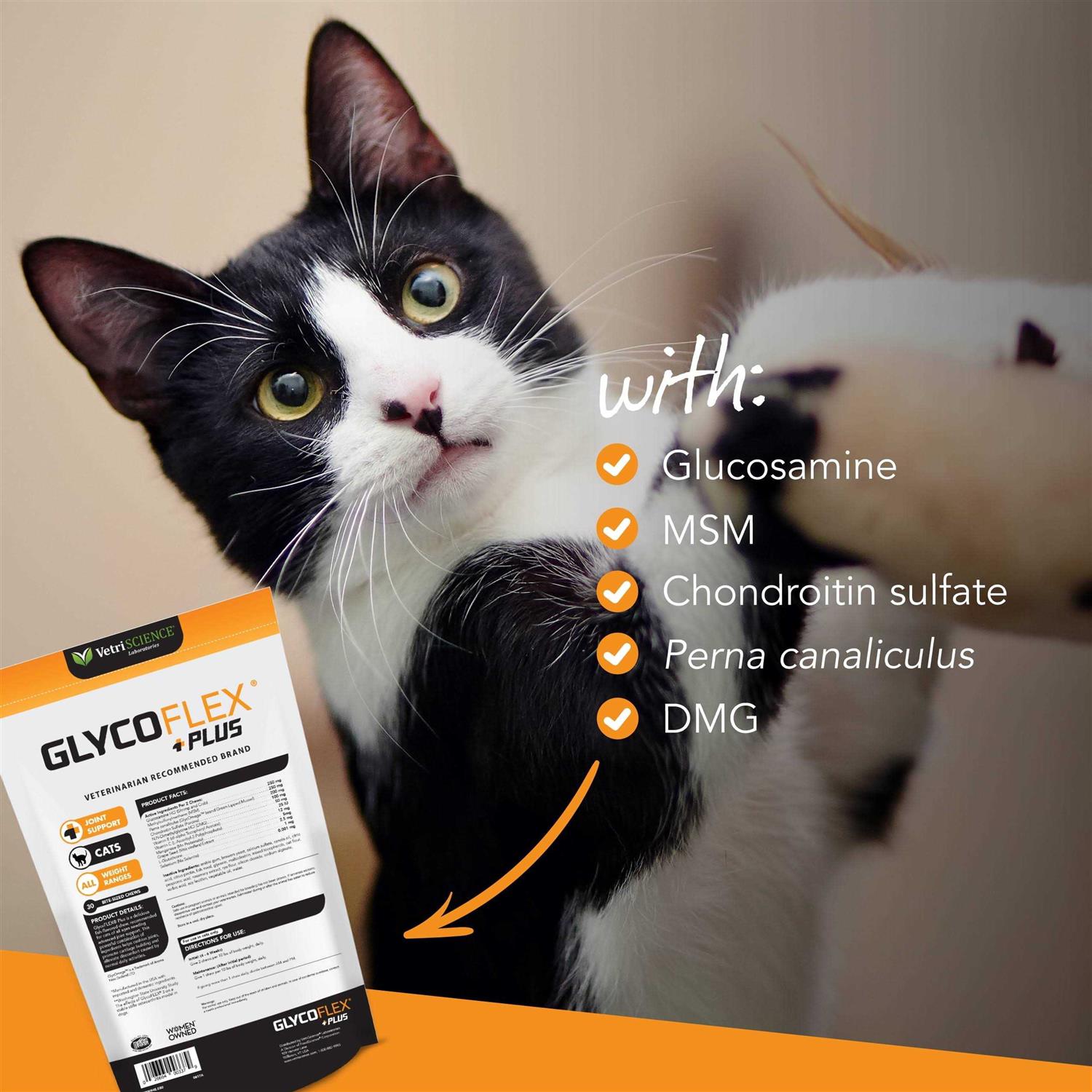 Hip & Joint Support for Cats Q771