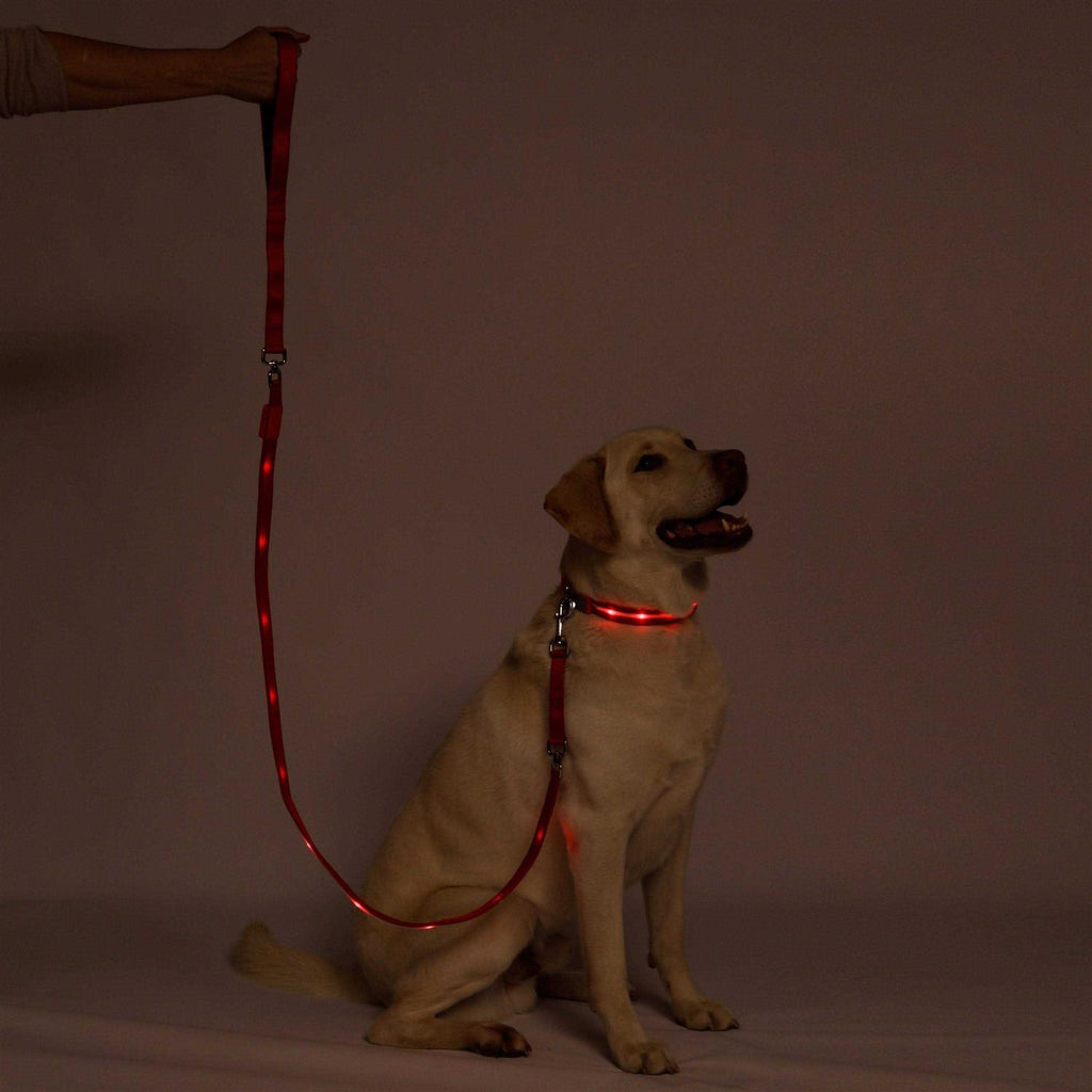 LED Dog Leash USB Rechargeable Flashing Light A744