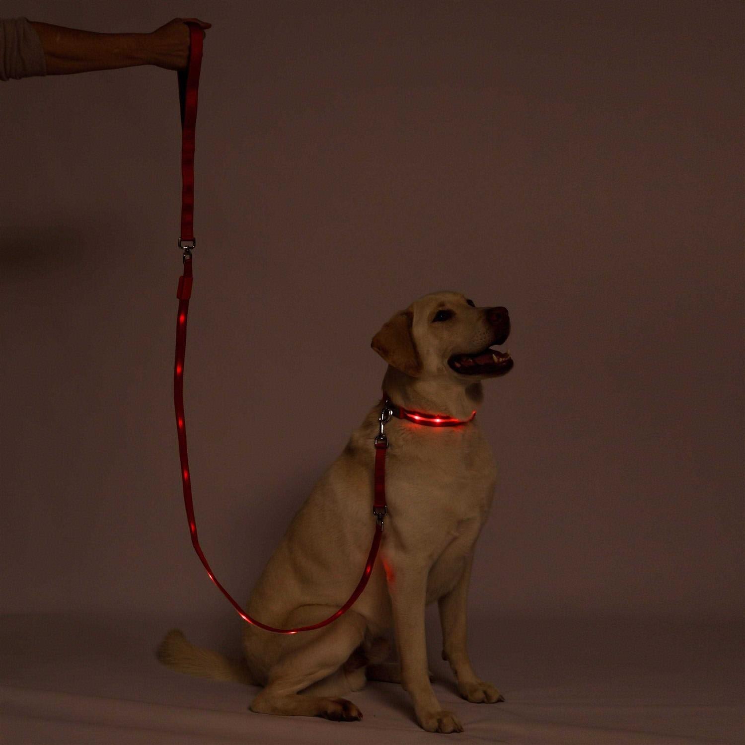LED Dog Leash USB Rechargeable Flashing Light A744