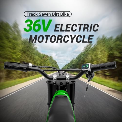 Electric Dirt Bike 350W for Kids Ages 8-12, Pink B146037